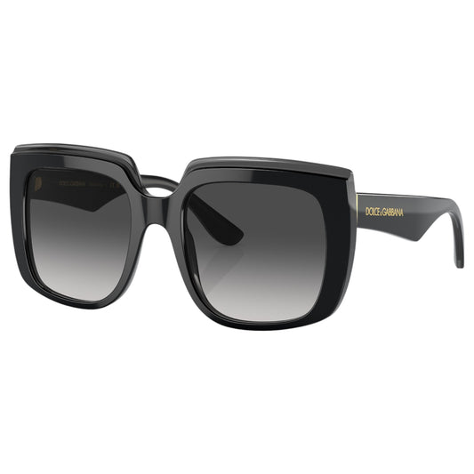 Womens Dolce & Gabbana DG4414 Sunglasses Black on Transparent Black