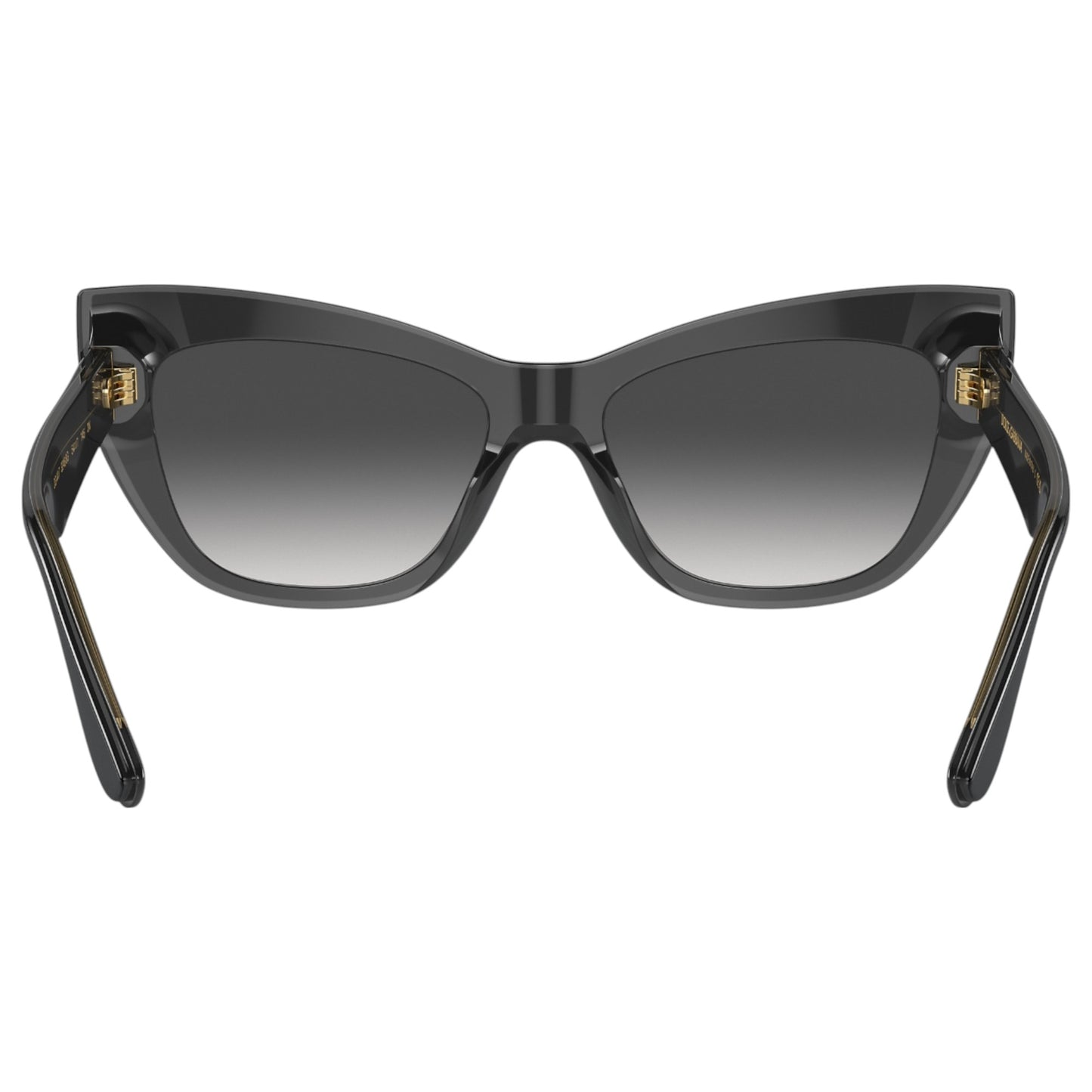 Womens Dolce & Gabbana DG4417 Sunglasses Black/ Transparent Grey
