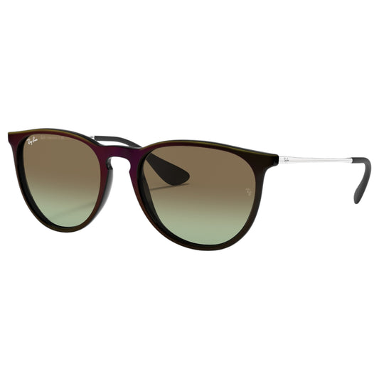 Womens Ray-Ban Erika Classic RB4171 Sunglasses Black/ Green Brown