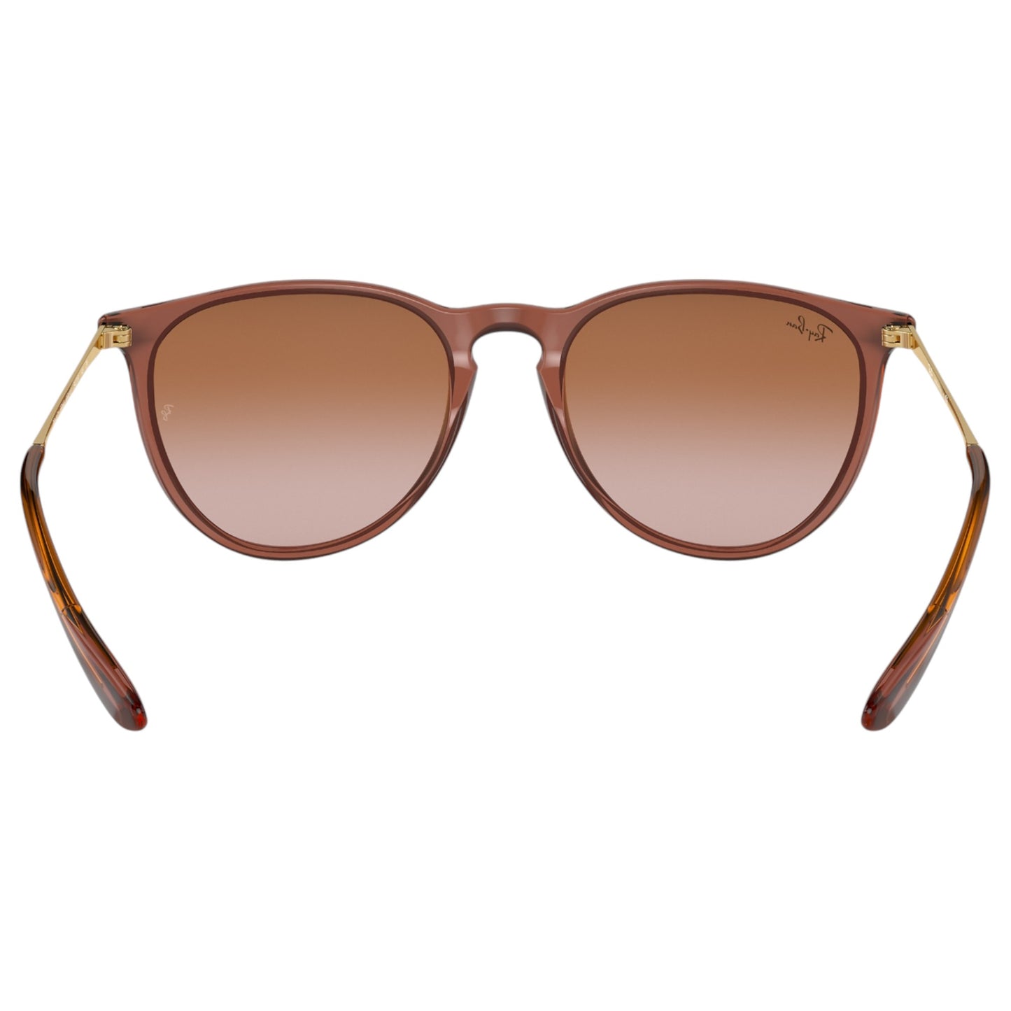 Womens Ray-Ban Erika Classic RB4171 Sunglasses Transparent Light Brown