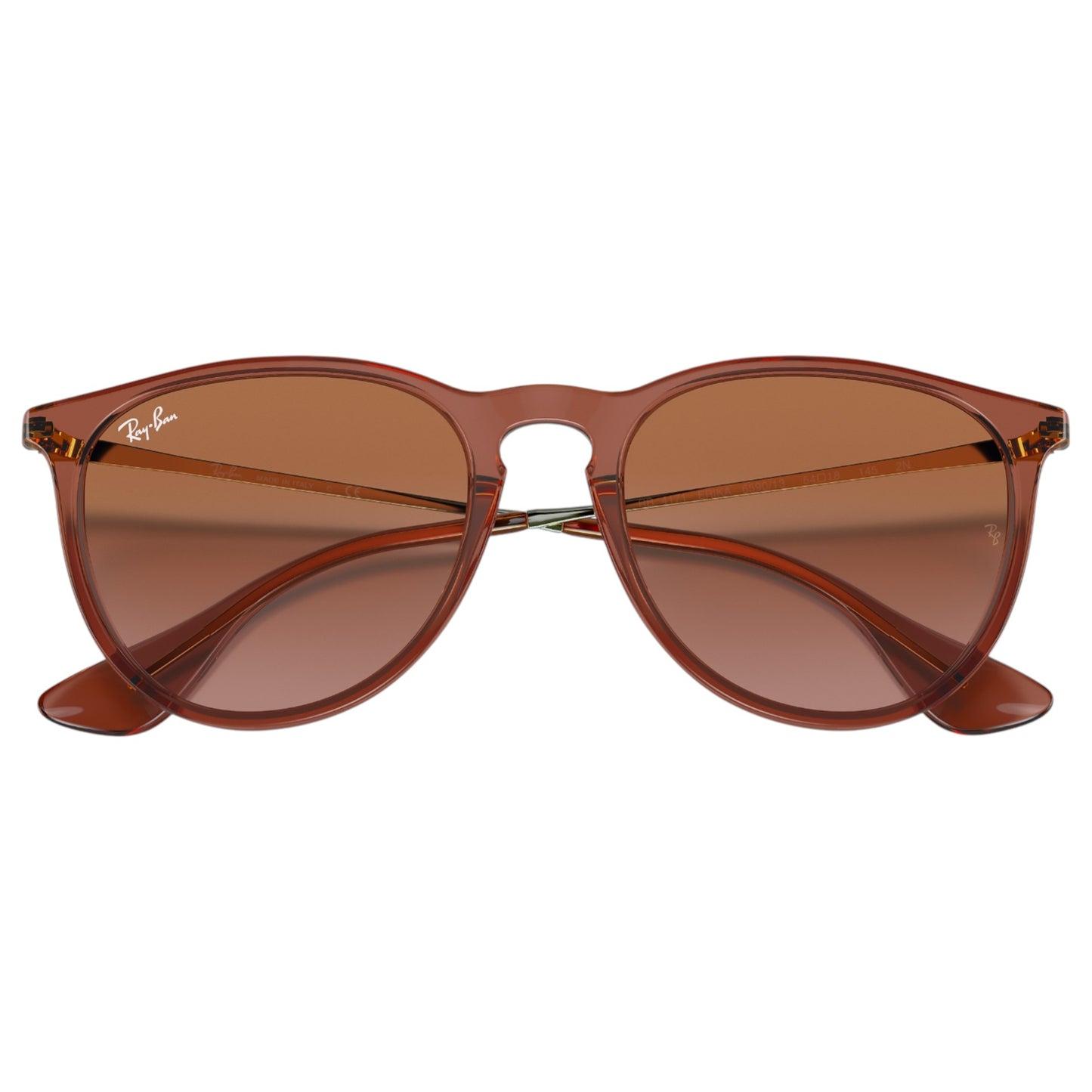 Womens Ray-Ban Erika Classic RB4171 Sunglasses Transparent Light Brown