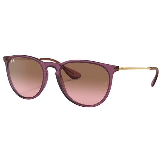 Womens Ray-Ban Erika Classic RB4171 Sunglasses Transparent Violet