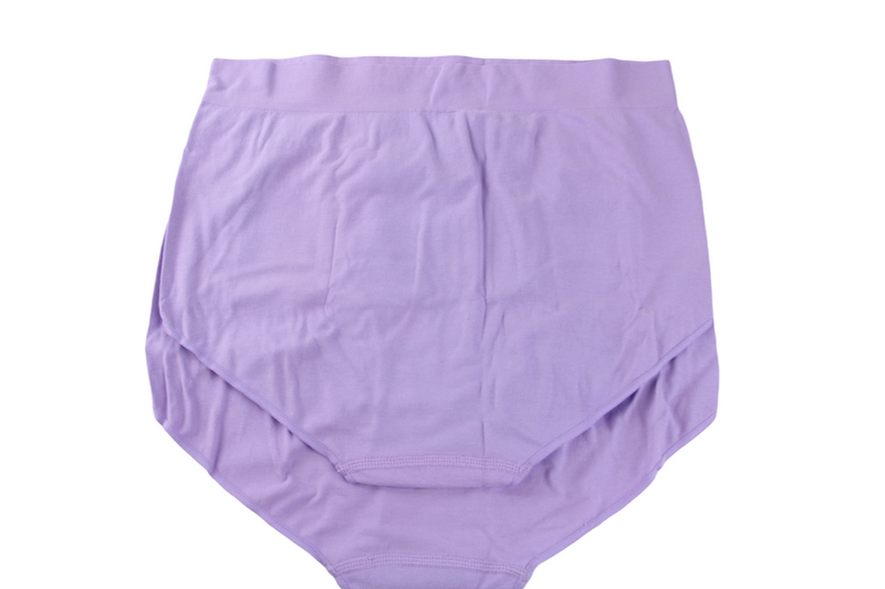 10 Pairs X Bonds Womens Seamless Full Brief Underwear Violet