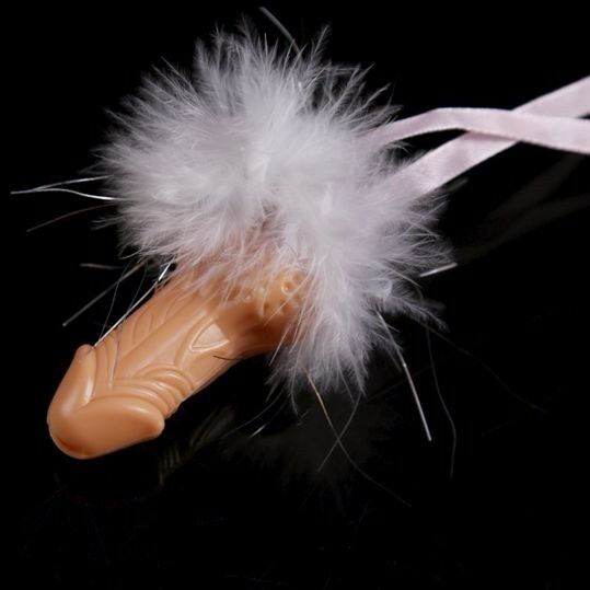 10 x Hens Night Penis Whistles Pink White Nude Dick Willy Games Fun Party