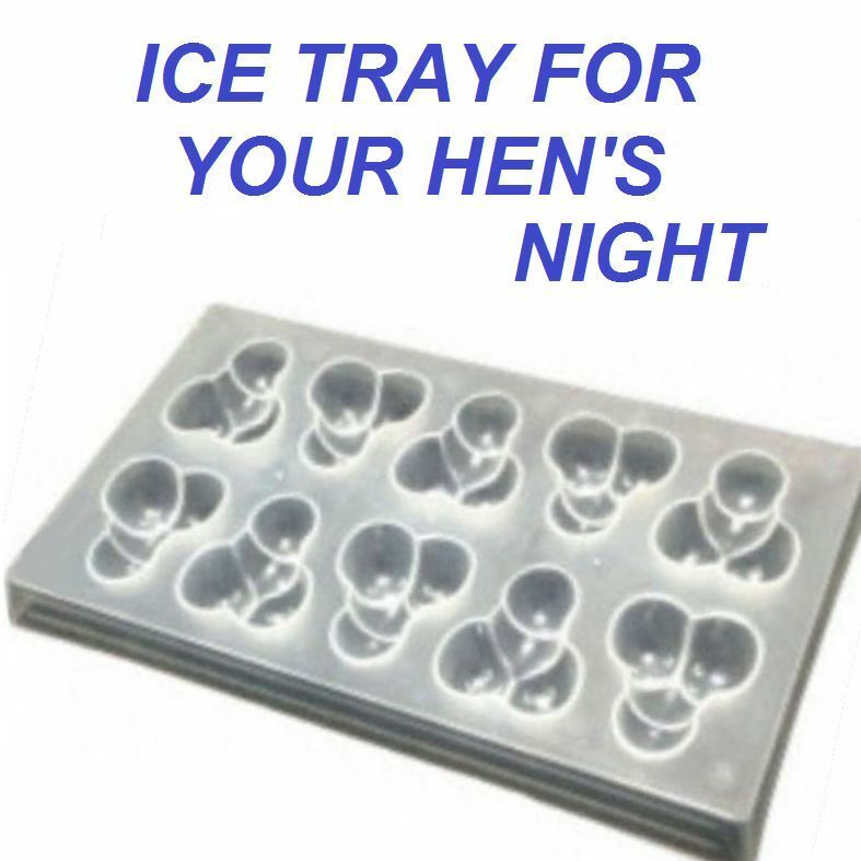 Hens Ice Tray Small Willy Chocolate Plastic Mould Night Dicky Penis Drink Drinks