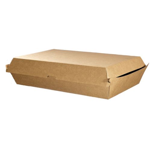300 X Large Kraft Brown Disposable Family Pack Boxes Bulk Takeaway Box