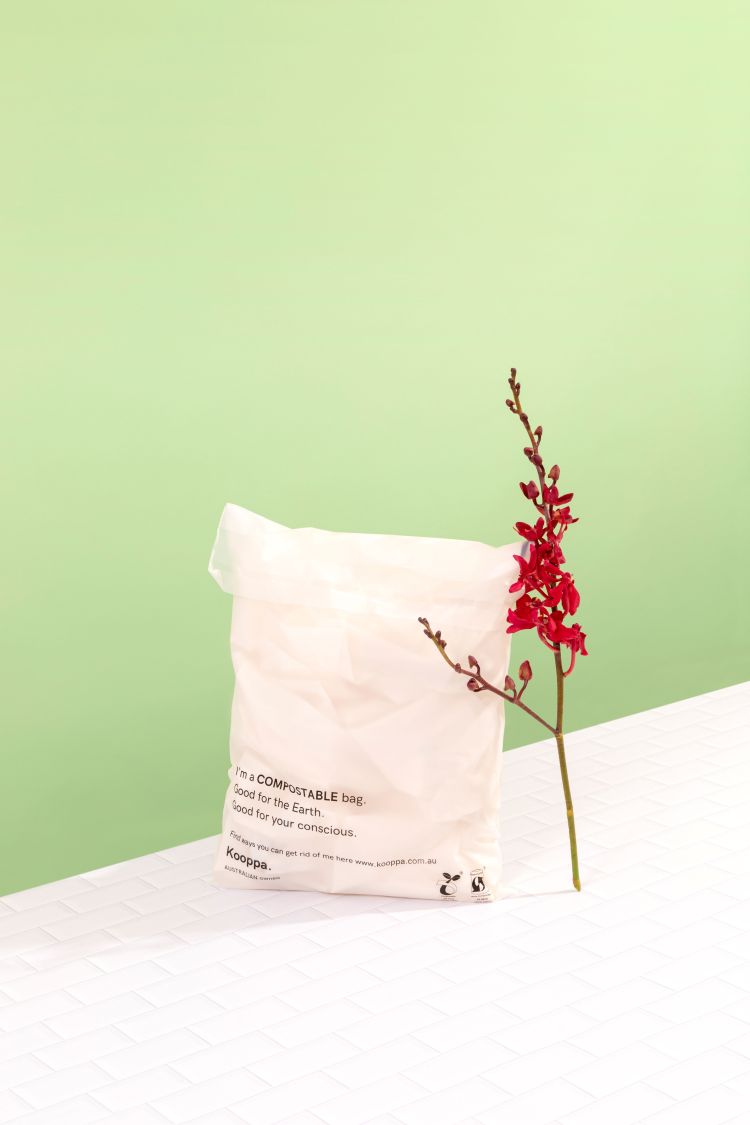 500 X Clear Biodegradable Medium Mailer 250X340mm Compostable Bag Satchels