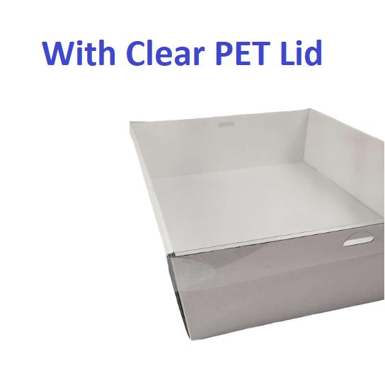20 X Small White Disposable Catering Grazing Boxes Trays With Clear PET Lids